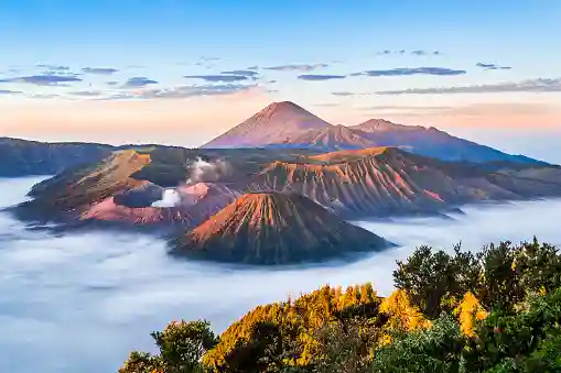 Java
